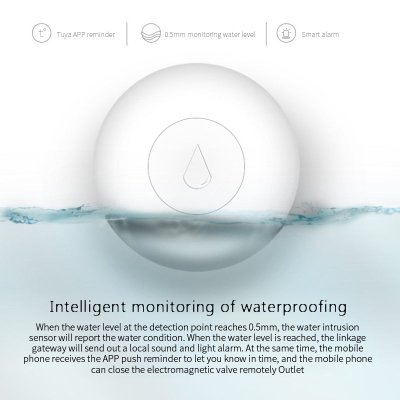 Wireless Water Sensor Zigbee Smart Home (Renfan) - SyncYourHome
