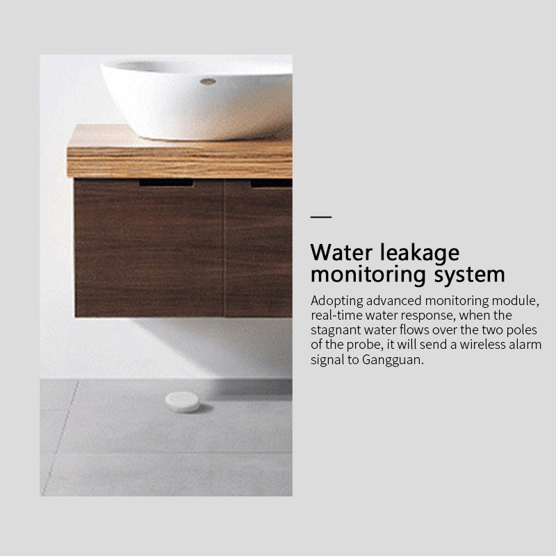 Wireless Water Sensor Zigbee Smart Home (Renfan) - SyncYourHome